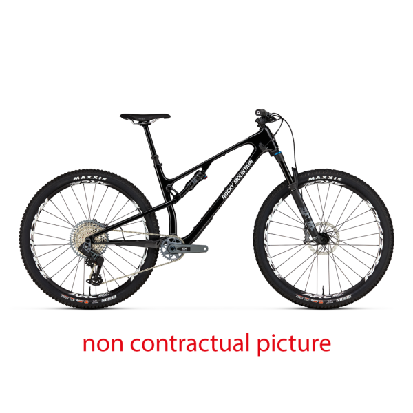 Rocky Mountain Element Carbon 50 (29) L grey/black