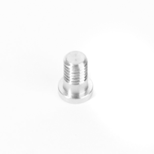 Rocky Mountain Hanger bolt for 1092020 and 1093002 (for alloy) one size