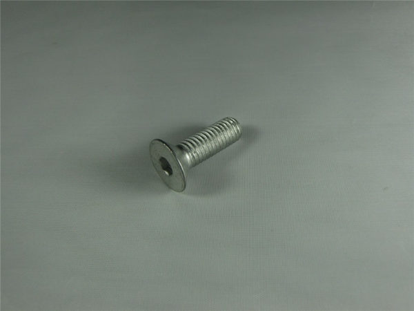 Rocky Mountain M8 x 25mm main pivot bolt one size