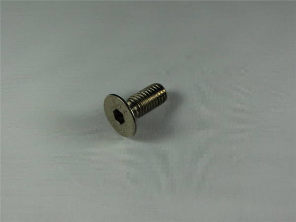 Rocky Mountain M8 X 20mm flat head cap screw one size