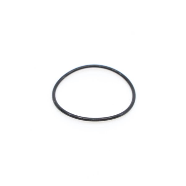 Rocky Mountain O-Ring 20mm ID one size