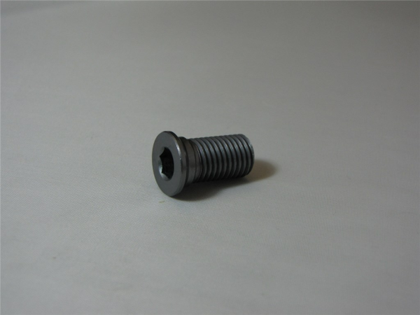 Rocky Mountain M10 x 20mm counter sunk screw one size