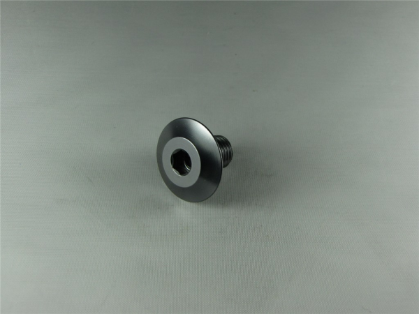 Rocky Mountain M10 x 14mm flange screw one size